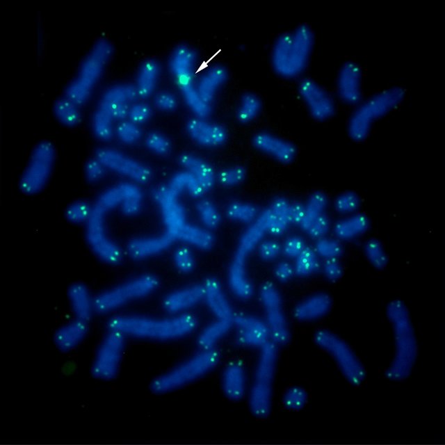 Glory Dayan provides a comprehensive service of supply and support to the medical/healthcare and life science sector.